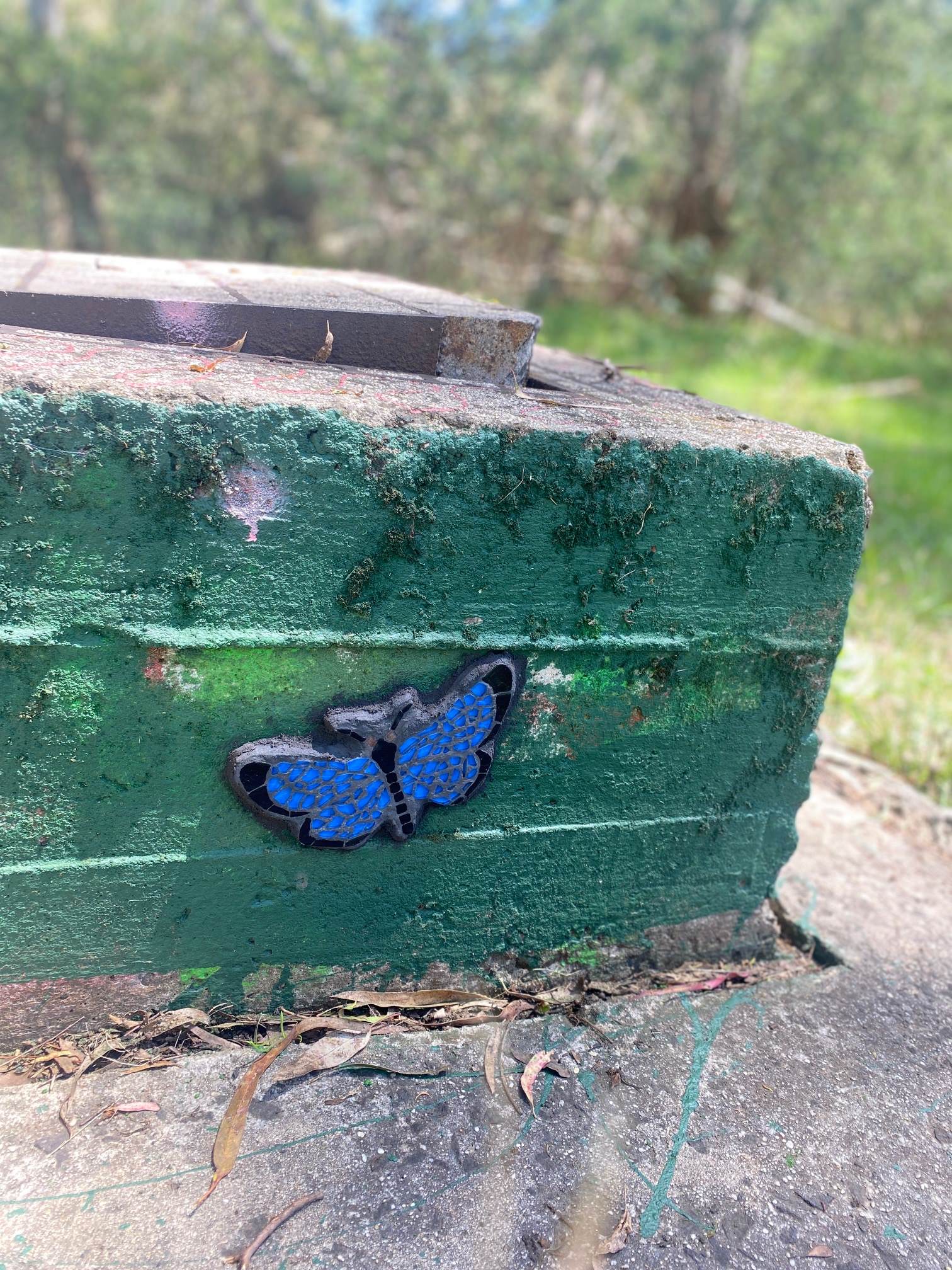 Varied dusky blue butterfly