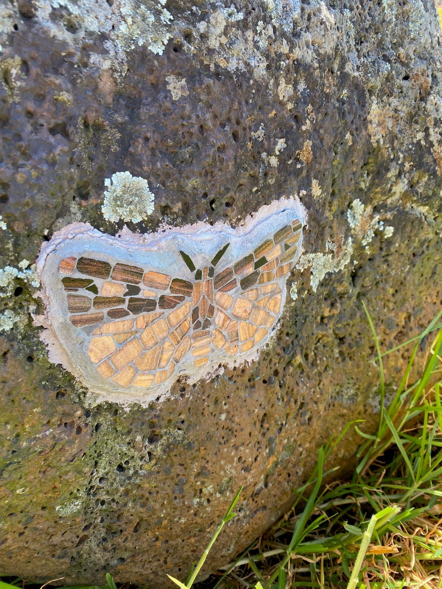 Bogong Moth mosaic on Merri Creek