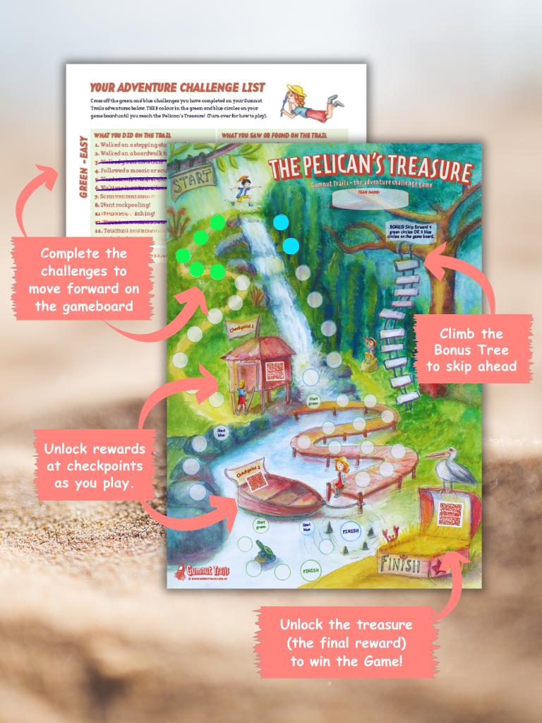 Adventure Challenge Game - The Pelican's Treasure