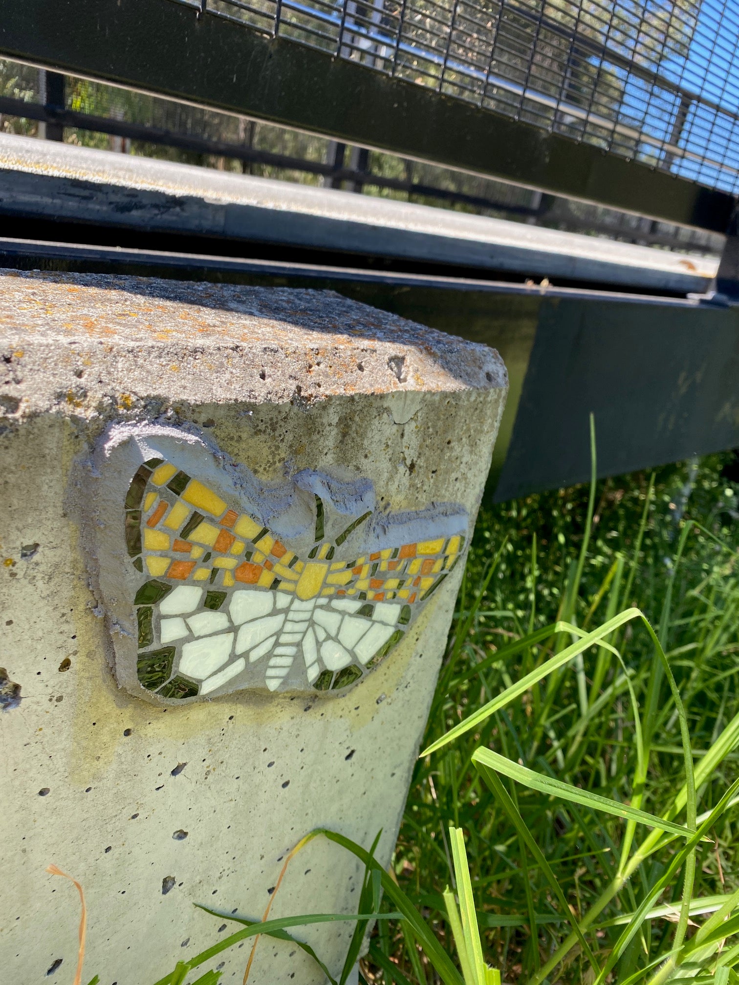 Heliotrope Moth mosaic on Merri Creek