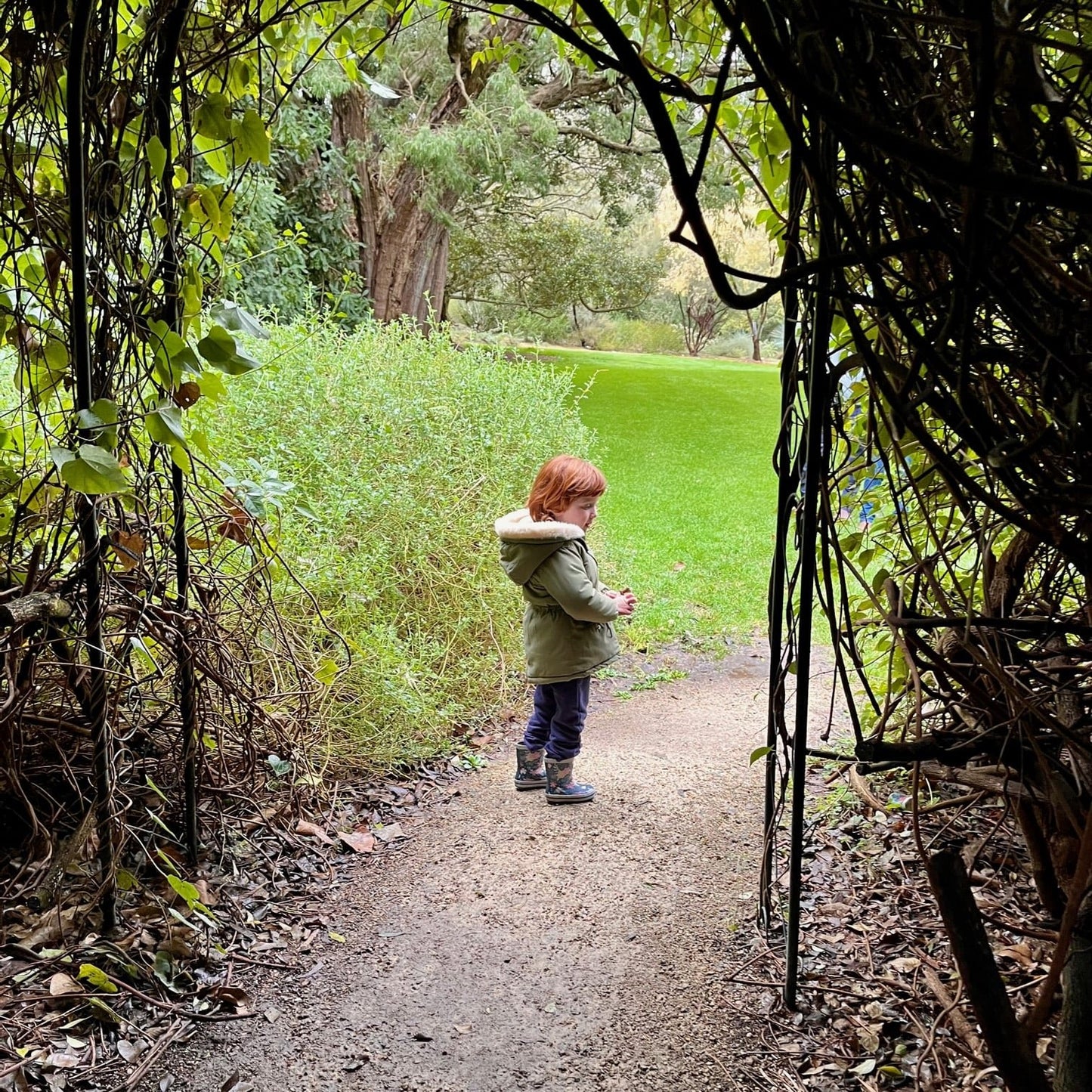 Melbourne's East Adventure Guide