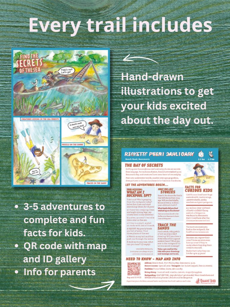 Melbourne's South Adventure Guide