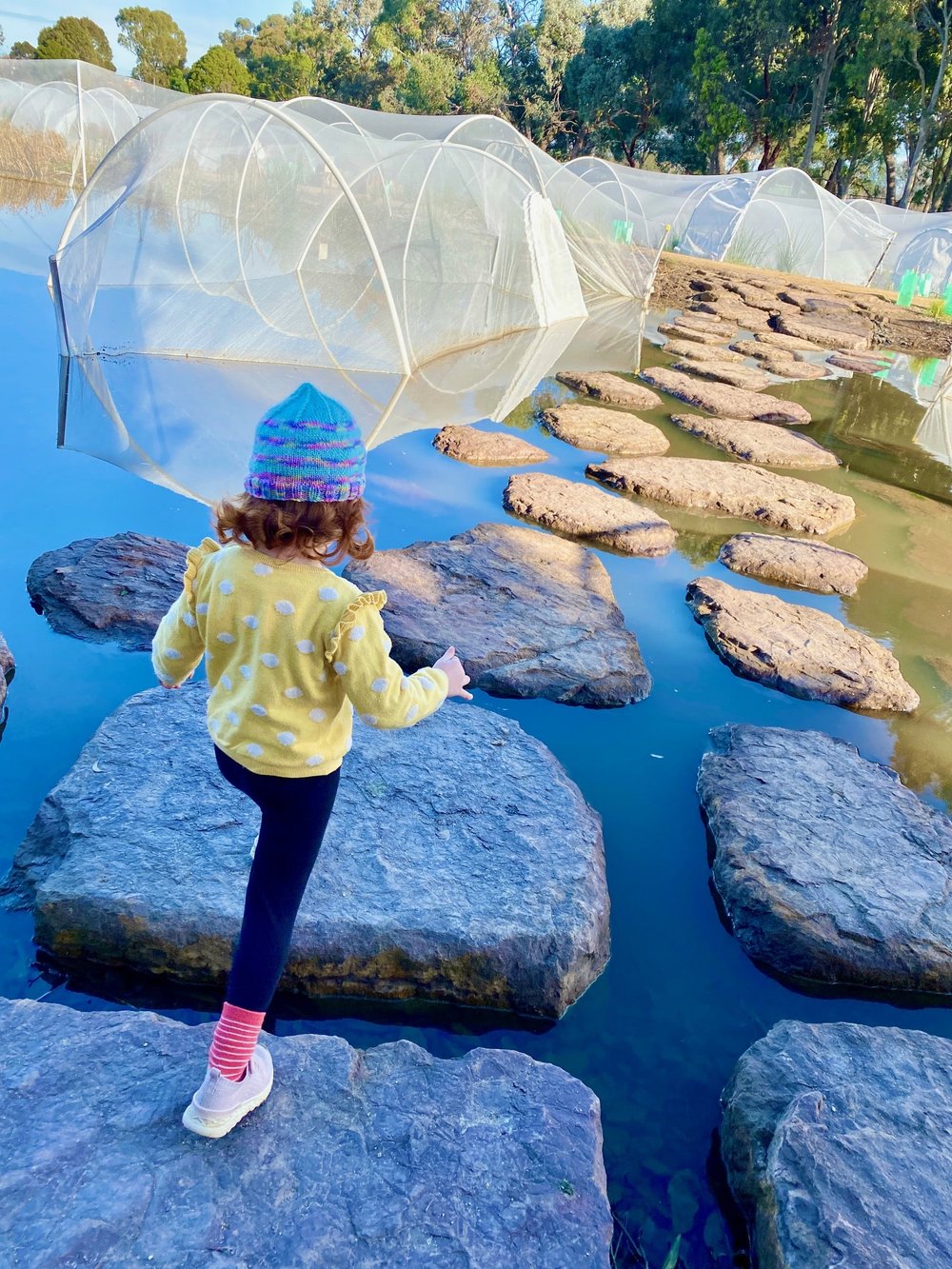 Melbourne's South Adventure Guide