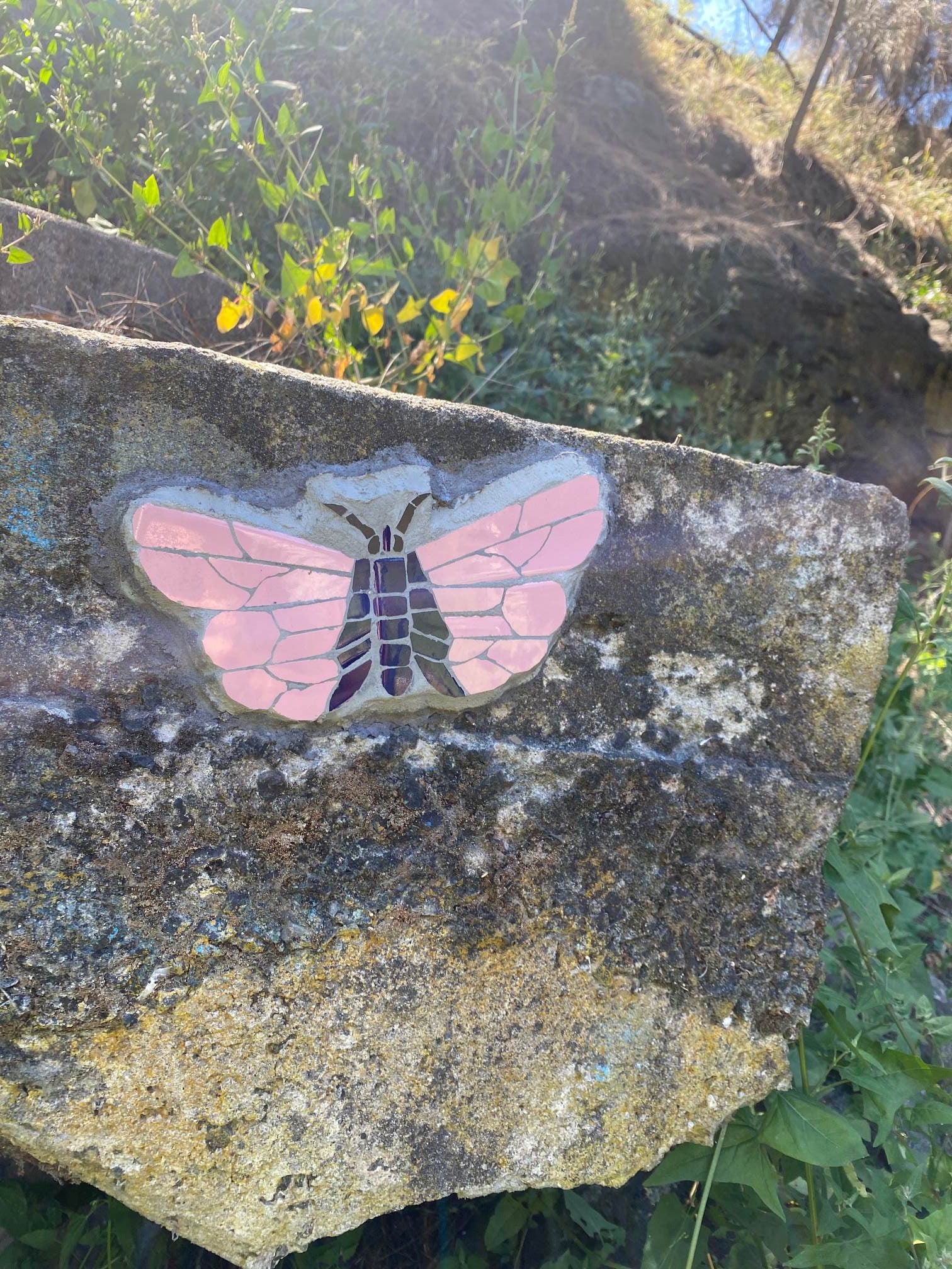 Double spotted lineblue butterfly