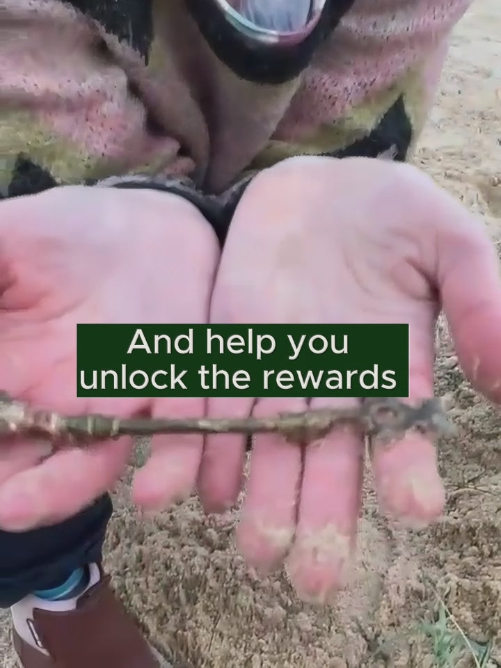 Highlights of the Pelican's Treasure Adventure Challenge Game