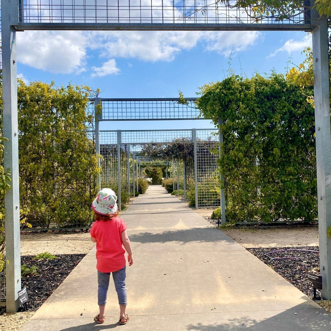 7 Spring Adventures with kids in Victoria.