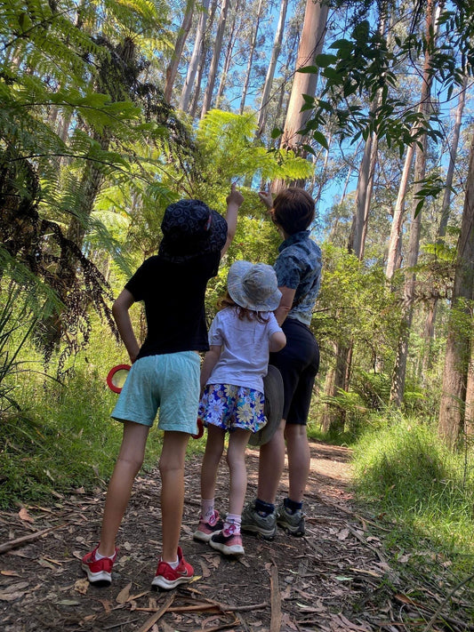 Gumnut Trails kid-friendly bushwalks around Melbourne blog