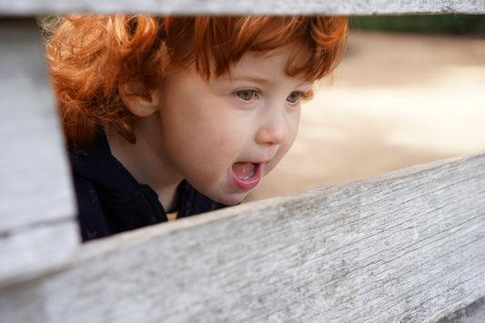 little girl looking through the bird hide