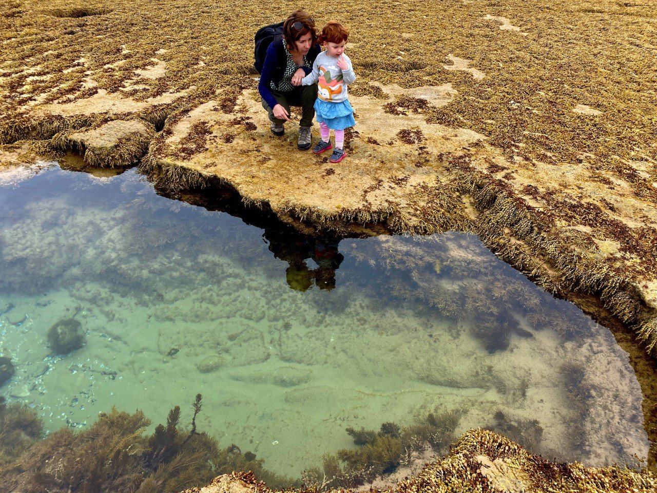 9 Amazing Rockpools Near Melbourne – Gumnut Trails