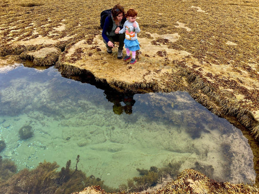 9 Amazing Rockpools Near Melbourne
