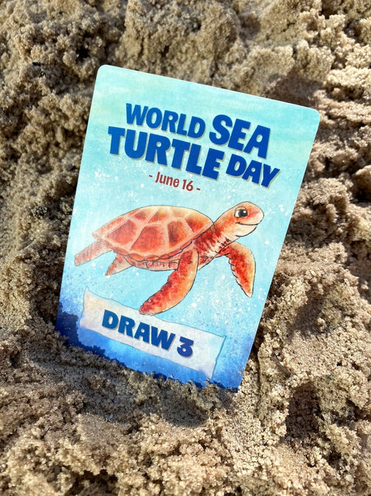 World Sea Turtle Day & peek into our new game!