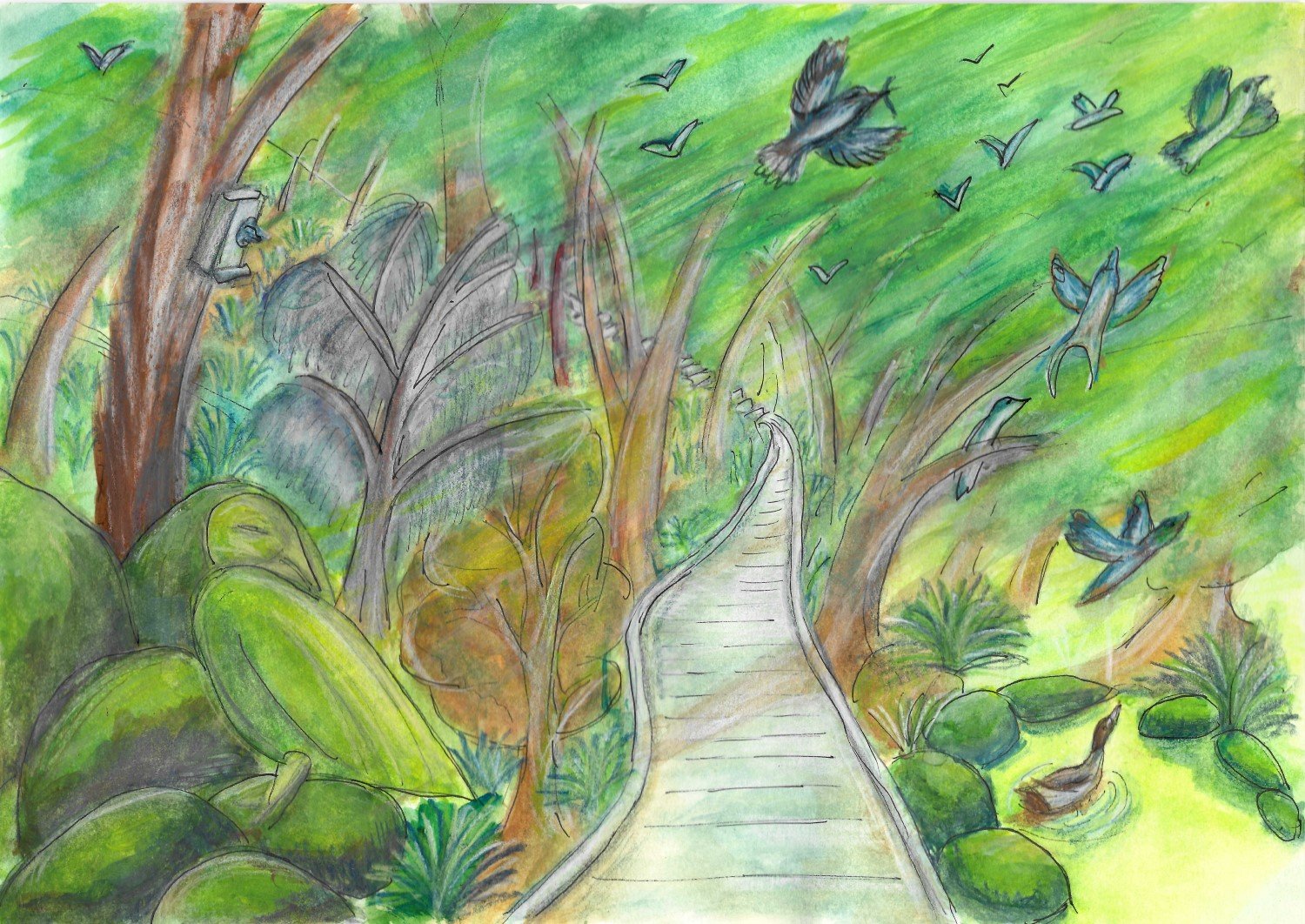 Bellbird Dell Reserve, Melbourne, Gumnut Trails illustration