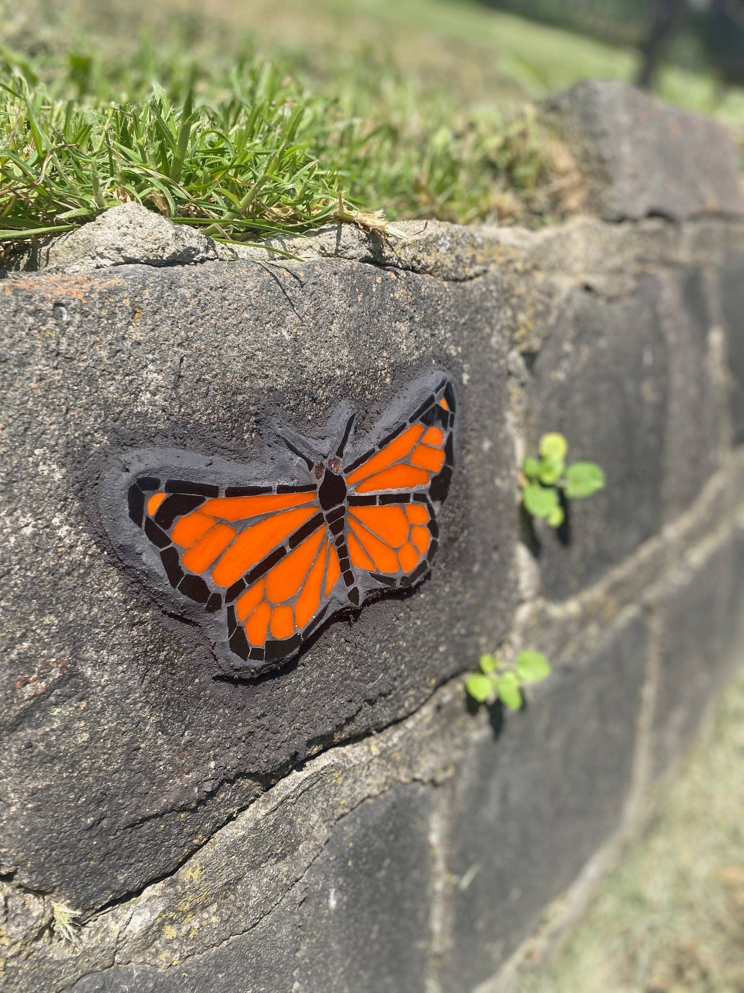 Mosaic on Merri Creek Trail Admiral Butterfly