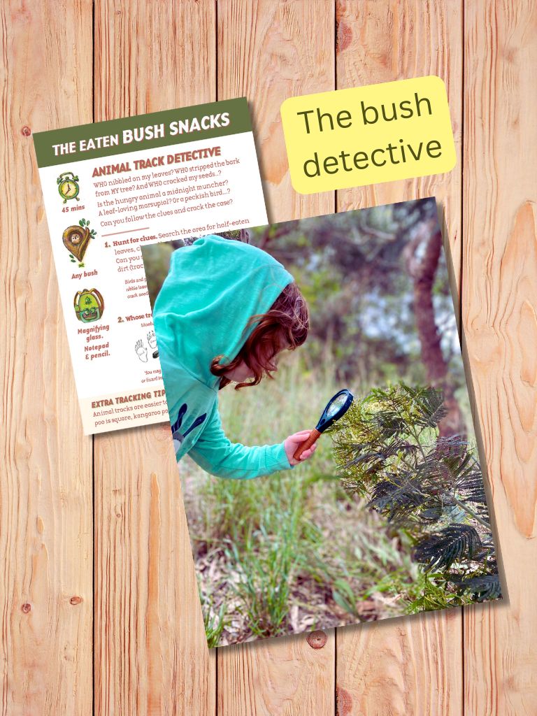 Child searching with magnifying glass for a  'The Eaten Bush Snacks' bush detective challenge - Gumnut Trails Guide