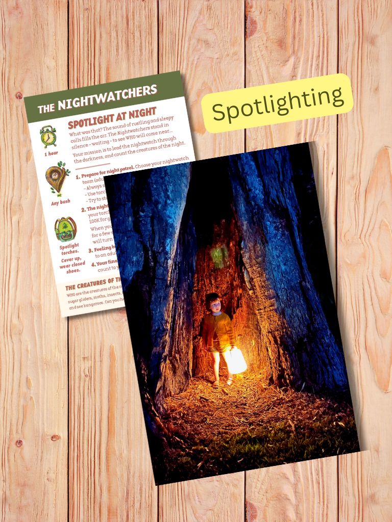 Wooden surface with a photo of a person in a dark forest and a card titled 'The Nightwatchers'. Gumnut Trails Guides