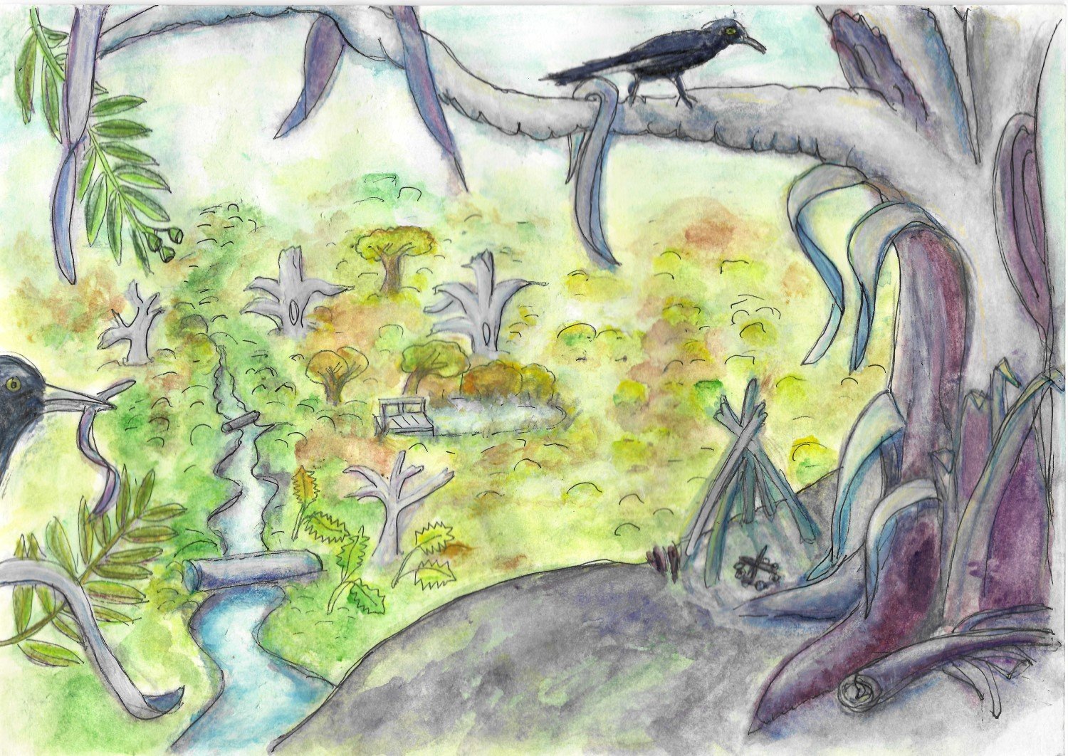 Currawong Bush Park Gumnut Trails illustration