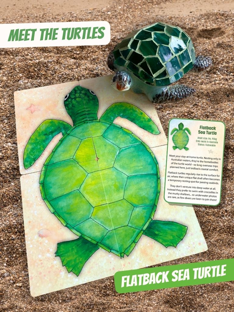 A flatback sea turtle from Turtle Moon card game, featuring a large, assembled turtle puzzle, a smaller assembled turtle in the background, and a printed informational card with a mosaic turtle. 