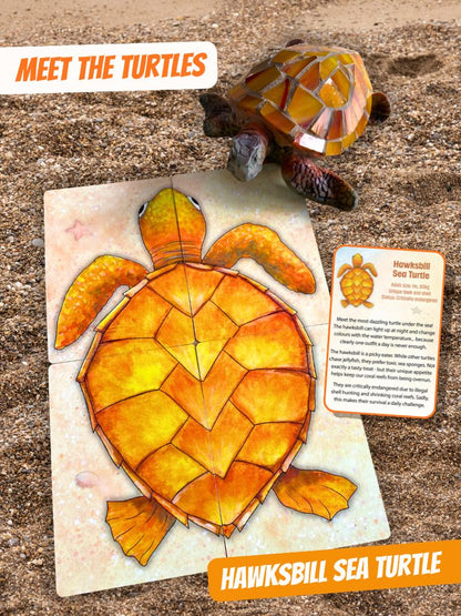A flatback sea turtle playing card puzzle in Turtle Moon, shown on sandy ground, featuring a small mosaic turtle, a printed turtle puzzle card, a small informational card, and text overlays reading 'MEET THE TURTLES' and 'FLATBACK SEA TURTLE'.