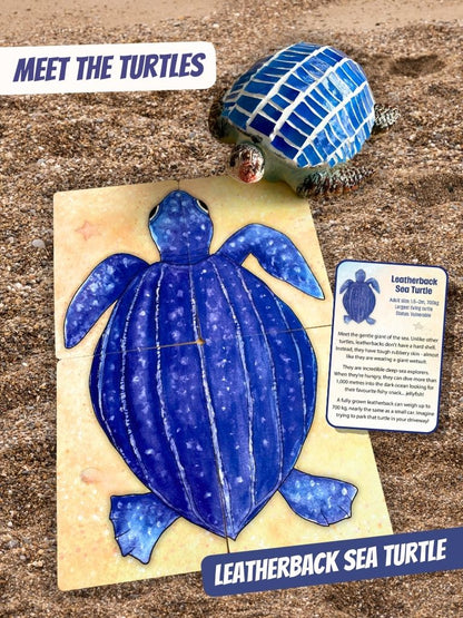 A leatherback sea turtle card illustration with mosaic turtle and fact card, displayed on a sandy surface, featuring a finished blue mosaic turtle shell, a blue leatherback turtle puzzle piece from playing cards  a product info card, and text reading 'MEET THE TURTLES' and 'LEATHERBACK SEA TURTLE'.