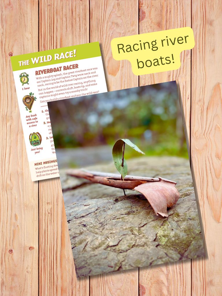 Leaf on a branch with a leaflet titled 'The Wild Race!' on a wooden. surface. Gumnut Trails Guides