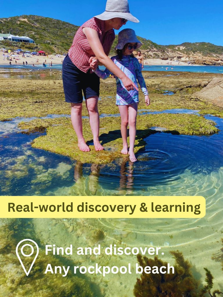 Adventure Anywhere: Backyard, Beach & Bush Fun with Kids