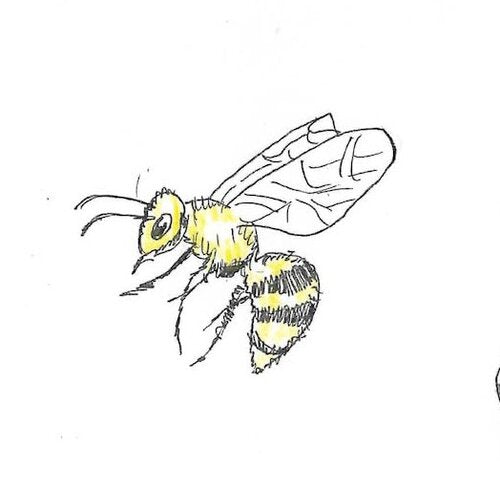 Bee Gumnut Trails bug gallery illustration
