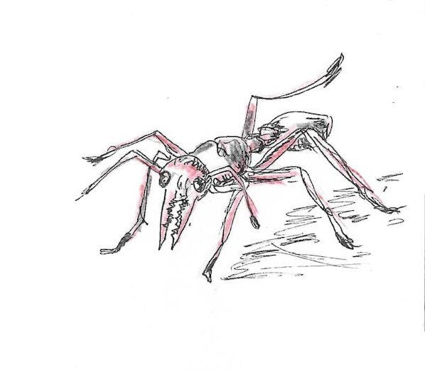 Bull ant Gumnut Trails bug illustration