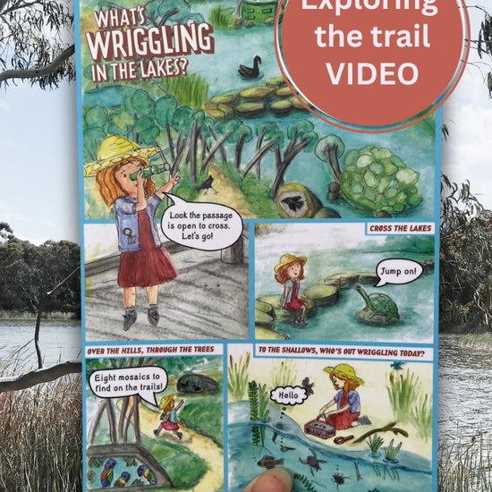 Exploring Newport Lakes with Gumnut Trails