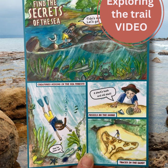 Melbourne South reel trail experience
